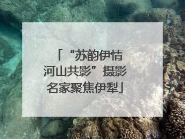 “苏韵伊情 河山共影”摄影名家聚焦伊犁