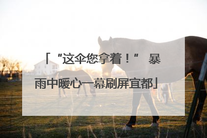 “这伞您拿着！” 暴雨中暖心一幕刷屏宜都