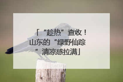 “趁热”查收！山东的“绿野仙踪”清凉感拉满