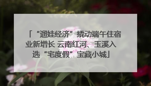“遛娃经济”撬动端午住宿业新增长 云南红河、玉溪入选“宅度假”宝藏小城