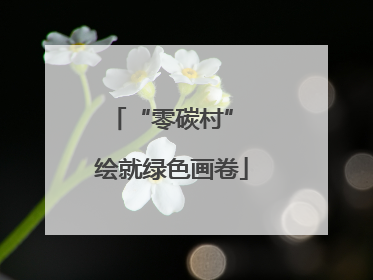 “零碳村” 绘就绿色画卷