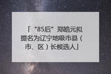 “85后”郑皓元拟提名为辽宁地级市县（市、区）长候选人