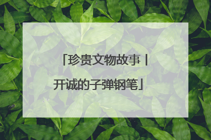 珍贵文物故事丨开诚的子弹钢笔