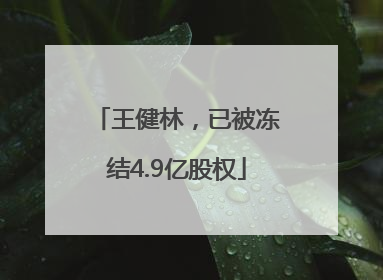王健林，已被冻结4.9亿股权