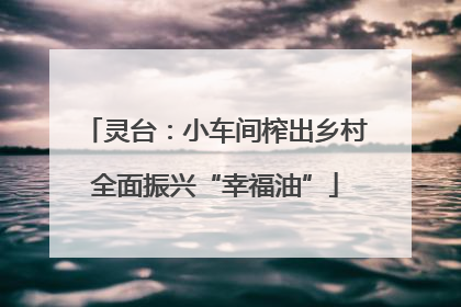灵台：小车间榨出乡村全面振兴“幸福油”