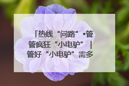 热线“问路”•管管疯狂“小电驴”｜管好“小电驴”需多部门形成合力