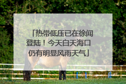 热带低压已在徐闻登陆！今天白天海口仍有明显风雨天气