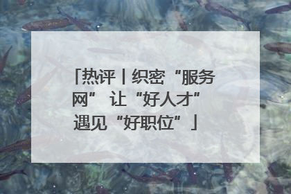 热评丨织密“服务网” 让“好人才”遇见“好职位”