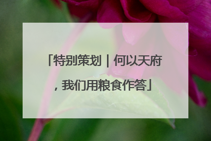 特别策划｜何以天府，我们用粮食作答