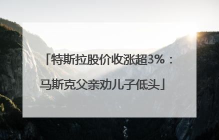 特斯拉股价收涨超3%：马斯克父亲劝儿子低头