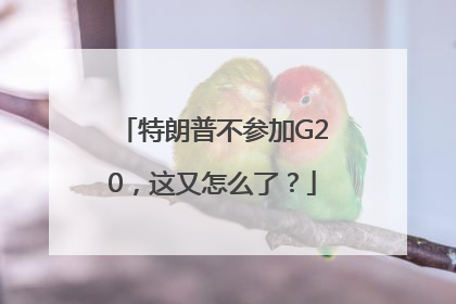 特朗普不参加G20，这又怎么了？