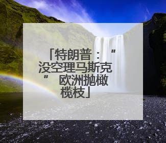 特朗普：“没空理马斯克” 欧洲抛橄榄枝