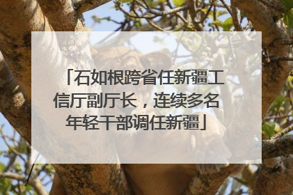 石如根跨省任新疆工信厅副厅长，连续多名年轻干部调任新疆