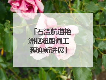 石澧航道艳洲枢纽船闸工程迎新进展