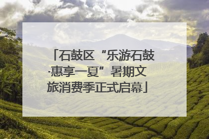 石鼓区“乐游石鼓·惠享一夏”暑期文旅消费季正式启幕