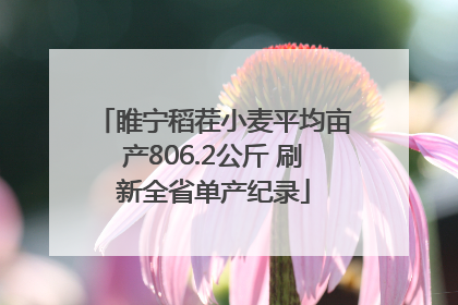 睢宁稻茬小麦平均亩产806.2公斤 刷新全省单产纪录