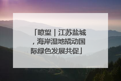 瞭望｜江苏盐城，海岸湿地撬动国际绿色发展共促