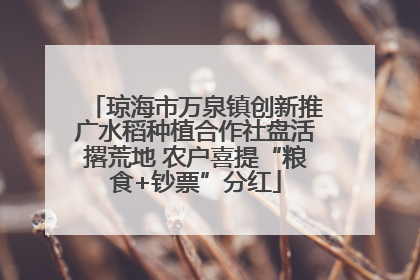 琼海市万泉镇创新推广水稻种植合作社盘活撂荒地 农户喜提“粮食+钞票”分红