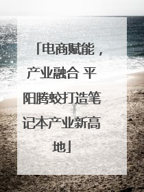 电商赋能，产业融合 平阳腾蛟打造笔记本产业新高地