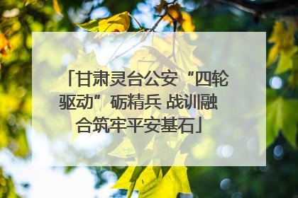 甘肃灵台公安“四轮驱动”砺精兵 战训融合筑牢平安基石