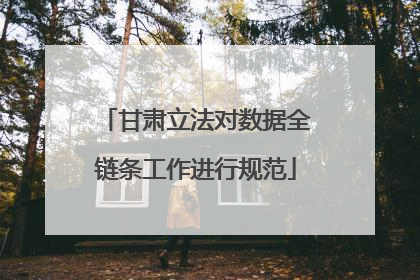 甘肃立法对数据全链条工作进行规范