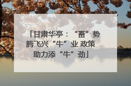 甘肃华亭：“畜”势腾飞兴“牛”业 政策助力添“牛”劲