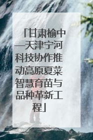 甘肃榆中—天津宁河科技协作推动高原夏菜智慧育苗与品种革新工程