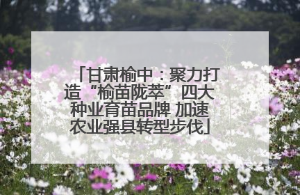 甘肃榆中：聚力打造“榆苗陇萃”四大种业育苗品牌 加速农业强县转型步伐