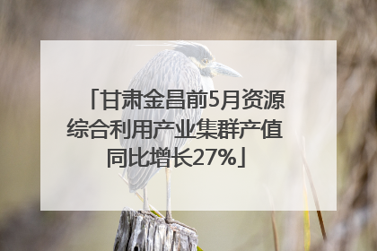 甘肃金昌前5月资源综合利用产业集群产值同比增长27%