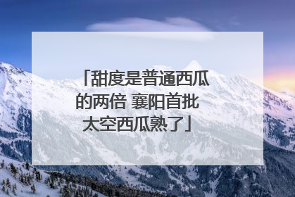 甜度是普通西瓜的两倍 襄阳首批太空西瓜熟了