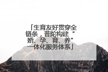 生育友好贯穿全链条，普陀构建“婚、孕、育、养”一体化服务体系