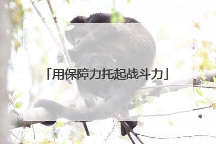 用保障力托起战斗力