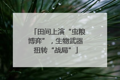 田间上演“虫粮博弈”，生物武器扭转“战局”