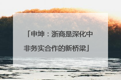 申坤：浙商是深化中非务实合作的新桥梁