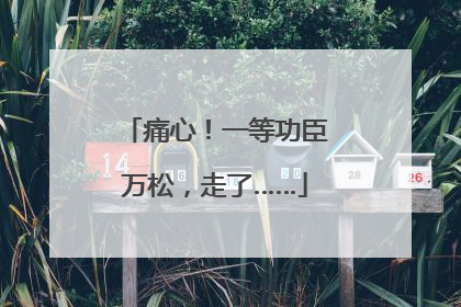 痛心！一等功臣万松，走了……
