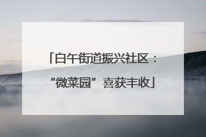 白午街道振兴社区：“微菜园”喜获丰收