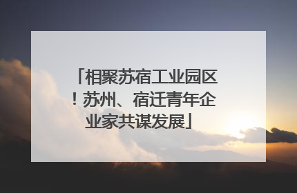 相聚苏宿工业园区！苏州、宿迁青年企业家共谋发展