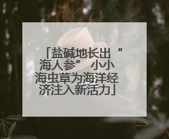 盐碱地长出“海人参” 小小海虫草为海洋经济注入新活力