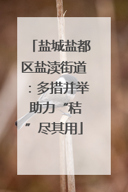 盐城盐都区盐渎街道：多措并举 助力“秸”尽其用