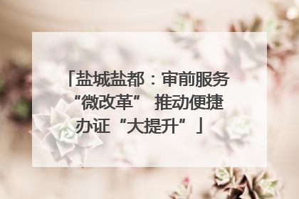 盐城盐都：审前服务“微改革” 推动便捷办证“大提升”
