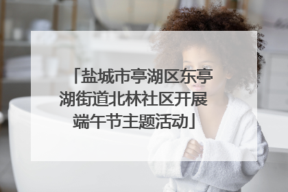 盐城市亭湖区东亭湖街道北林社区开展端午节主题活动