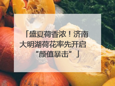盛夏荷香浓！济南大明湖荷花率先开启“颜值暴击”