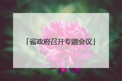 省政府召开专题会议