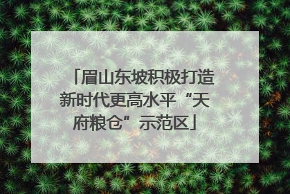 眉山东坡积极打造新时代更高水平“天府粮仓”示范区