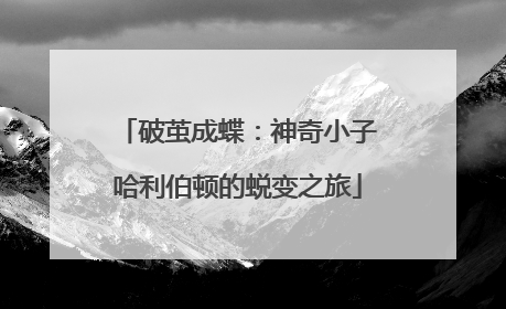 破茧成蝶：神奇小子哈利伯顿的蜕变之旅