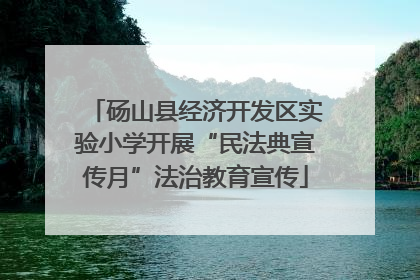砀山县经济开发区实验小学开展“民法典宣传月”法治教育宣传