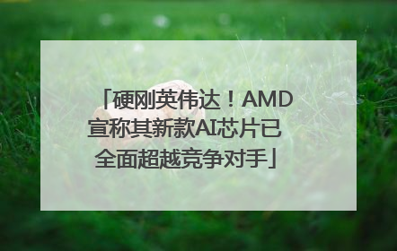 硬刚英伟达！AMD宣称其新款AI芯片已全面超越竞争对手