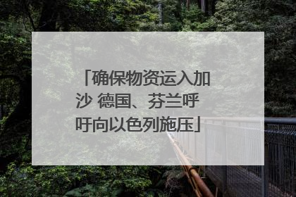 确保物资运入加沙 德国、芬兰呼吁向以色列施压