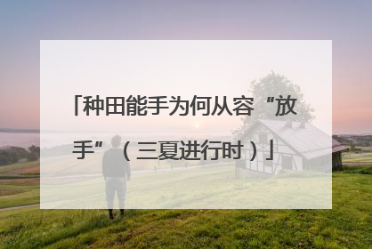 种田能手为何从容“放手”（三夏进行时）