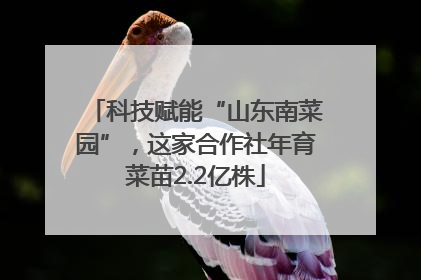 科技赋能“山东南菜园”，这家合作社年育菜苗2.2亿株